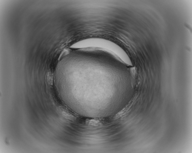 X0000095890180200802081125