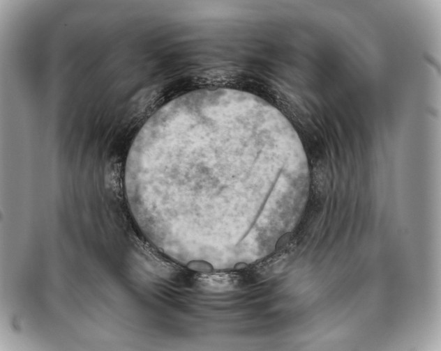 X0000095890181200802081126
