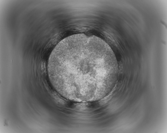X0000095890182200802081126