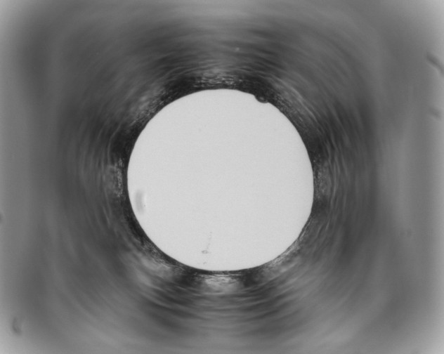 X0000095890183200802081126