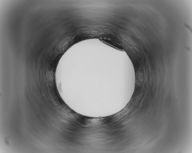 X0000095890184200802081126