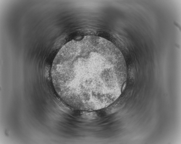 X0000095890185200802081126