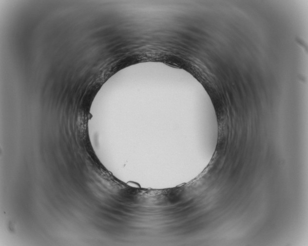 X0000095890186200802081126