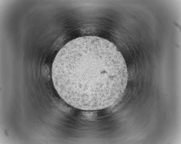 X0000095890187200802081126