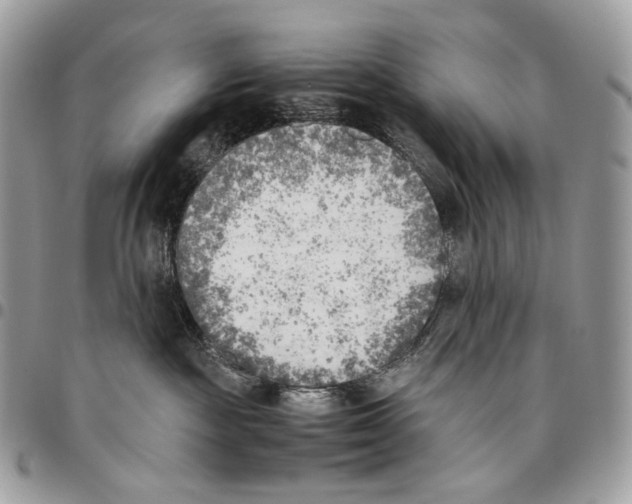X0000095890189200802081126