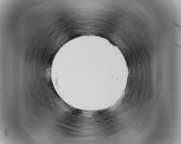 X0000095890190200802081126