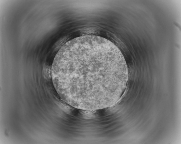 X0000095890191200802081126