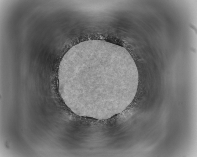 X0000095890192200802081126