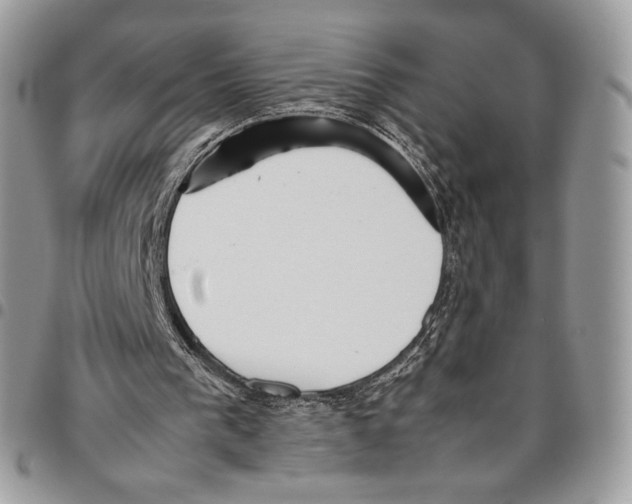 X0000095890193200802081125
