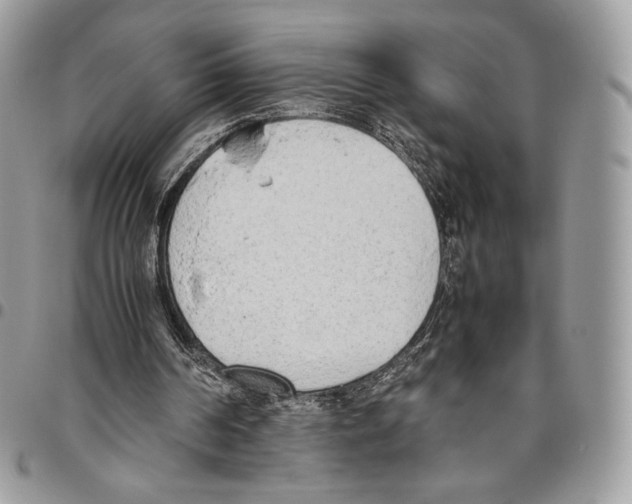 X0000095890194200802081125
