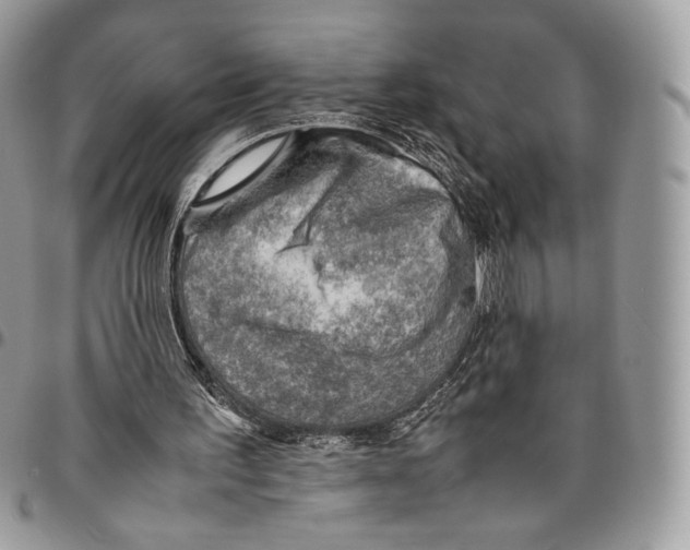 X0000095890195200802081125