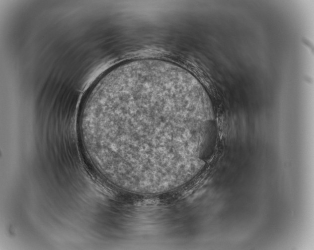 X0000095890196200802081125