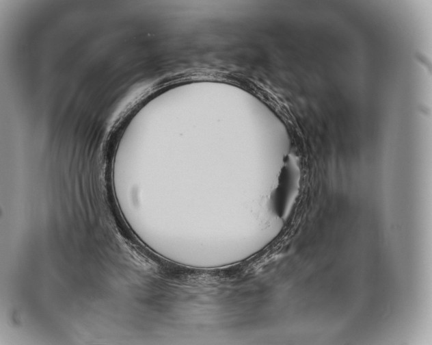 X0000095890197200802081125