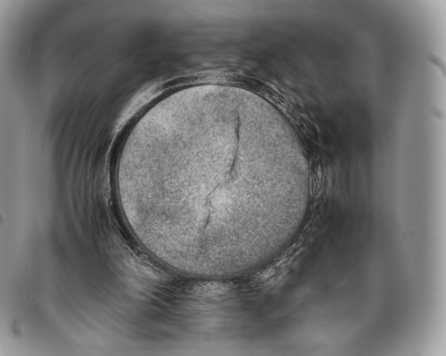 X0000095890198200802081125