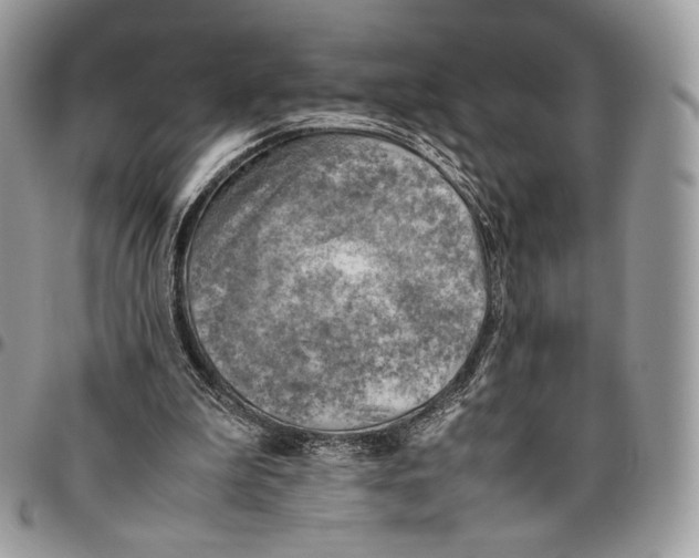 X0000095890199200802081125