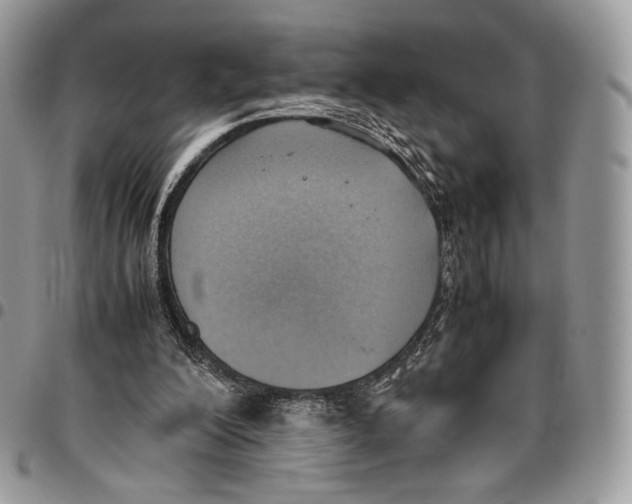 X0000095890200200802081125