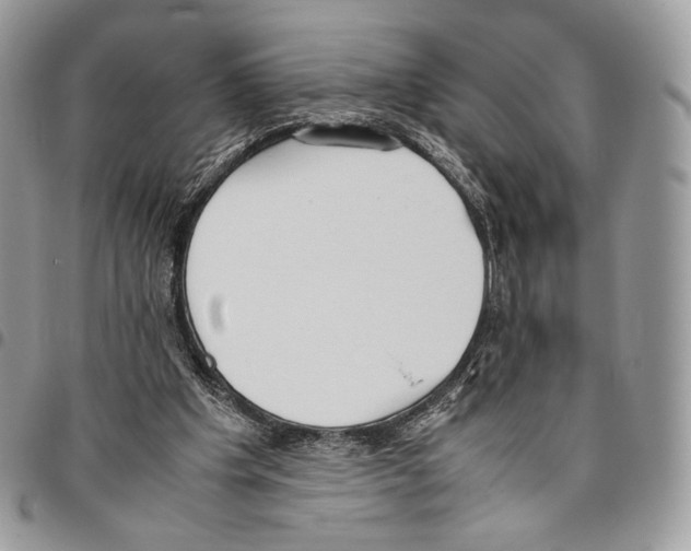 X0000095890201200802081125