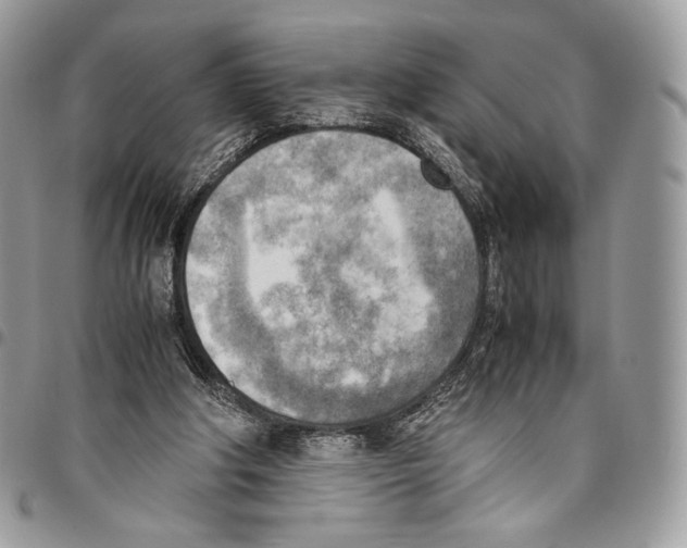 X0000095890202200802081125