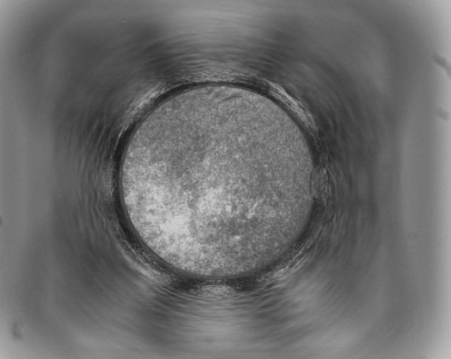 X0000095890203200802081125
