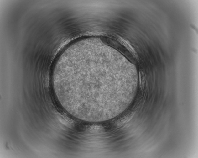 X0000095890204200802081125