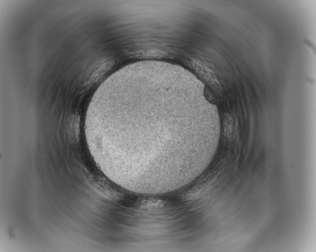 X0000095890206200802081125