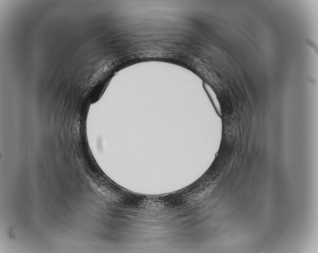 X0000095890207200802081125