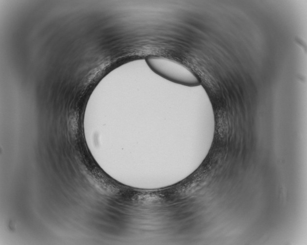 X0000095890208200802081125