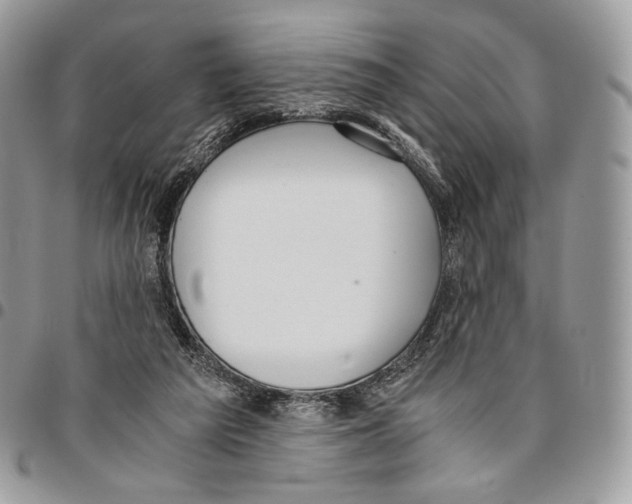 X0000095890209200802081125