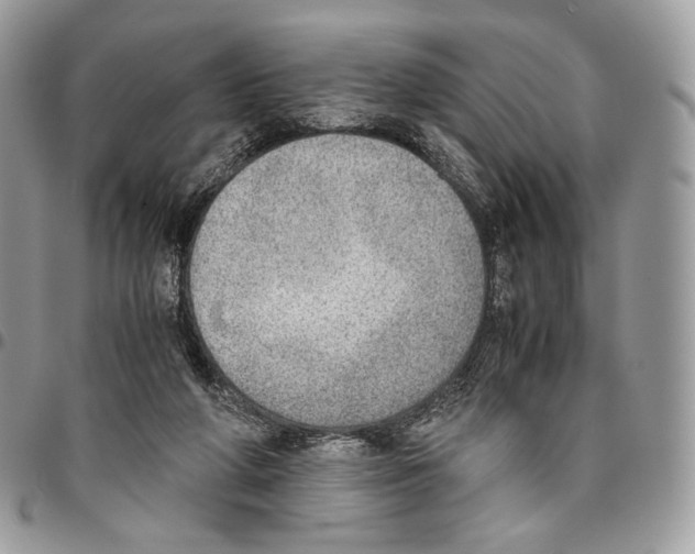 X0000095890210200802081125