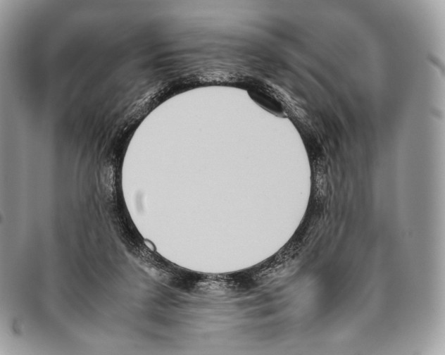 X0000095890211200802081125