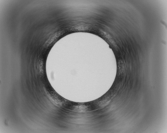 X0000095890212200802081125