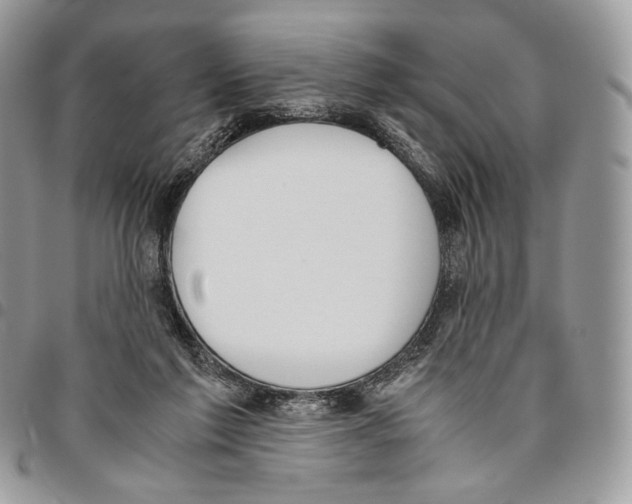 X0000095890213200802081125