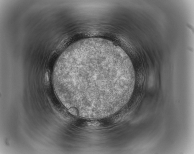 X0000095890214200802081125