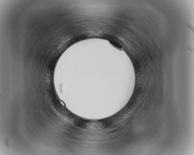 X0000095890215200802081125