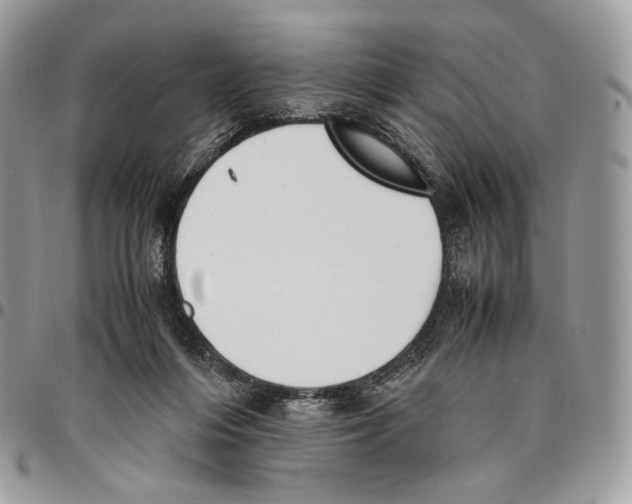 X0000095890216200802081125