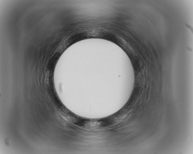 X0000095890217200802081125
