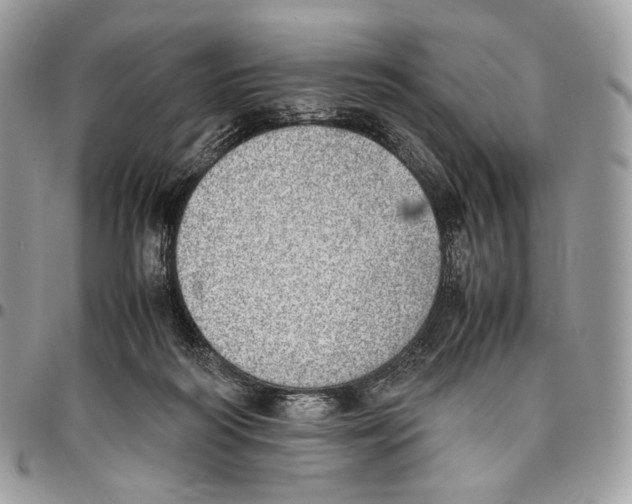 X0000095890218200802081125