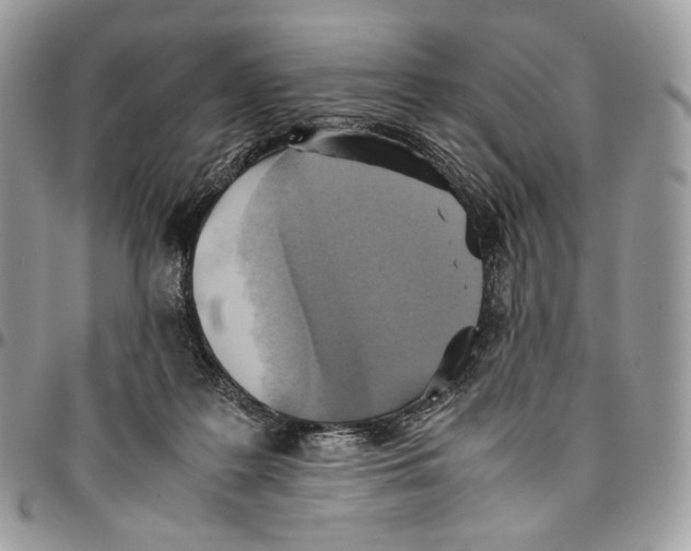 X0000095890219200802081125