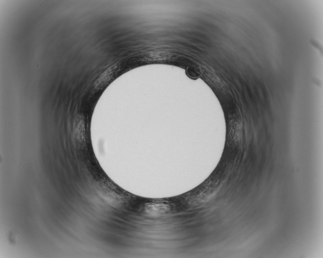 X0000095890220200802081125