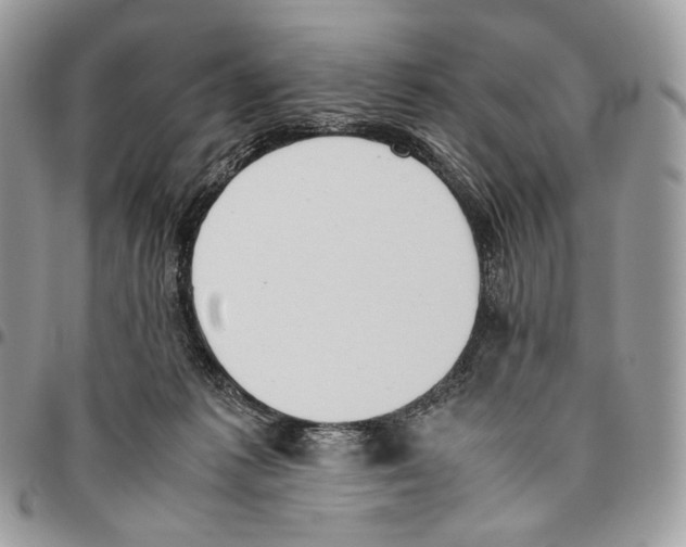 X0000095890221200802081125