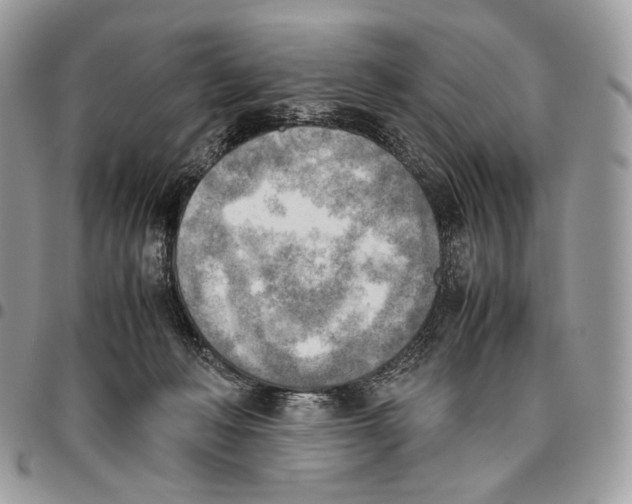 X0000095890222200802081125