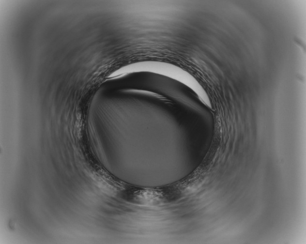 X0000095890223200802081125