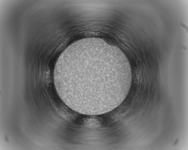 X0000095890224200802081125