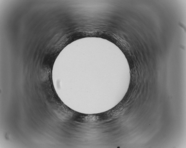 X0000095890225200802081125