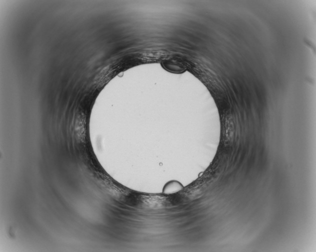 X0000095890226200802081125