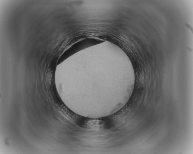X0000095890227200802081125