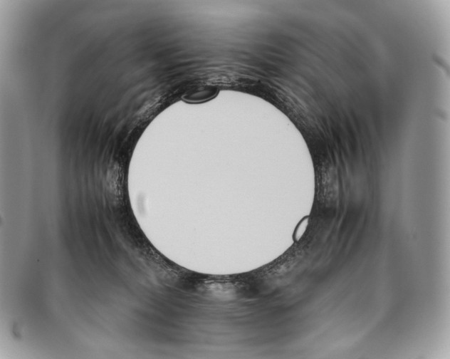X0000095890228200802081125