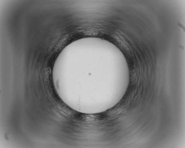 X0000095890229200802081125