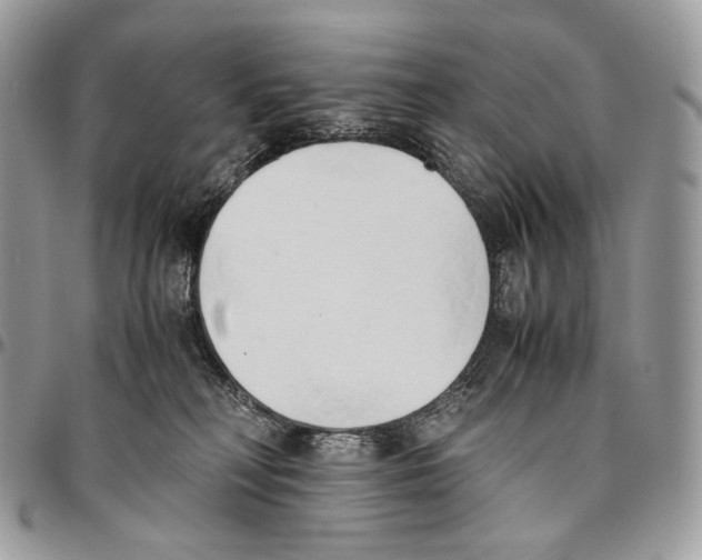 X0000095890230200802081125