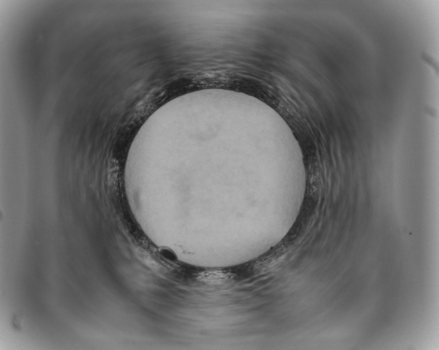 X0000095890231200802081124